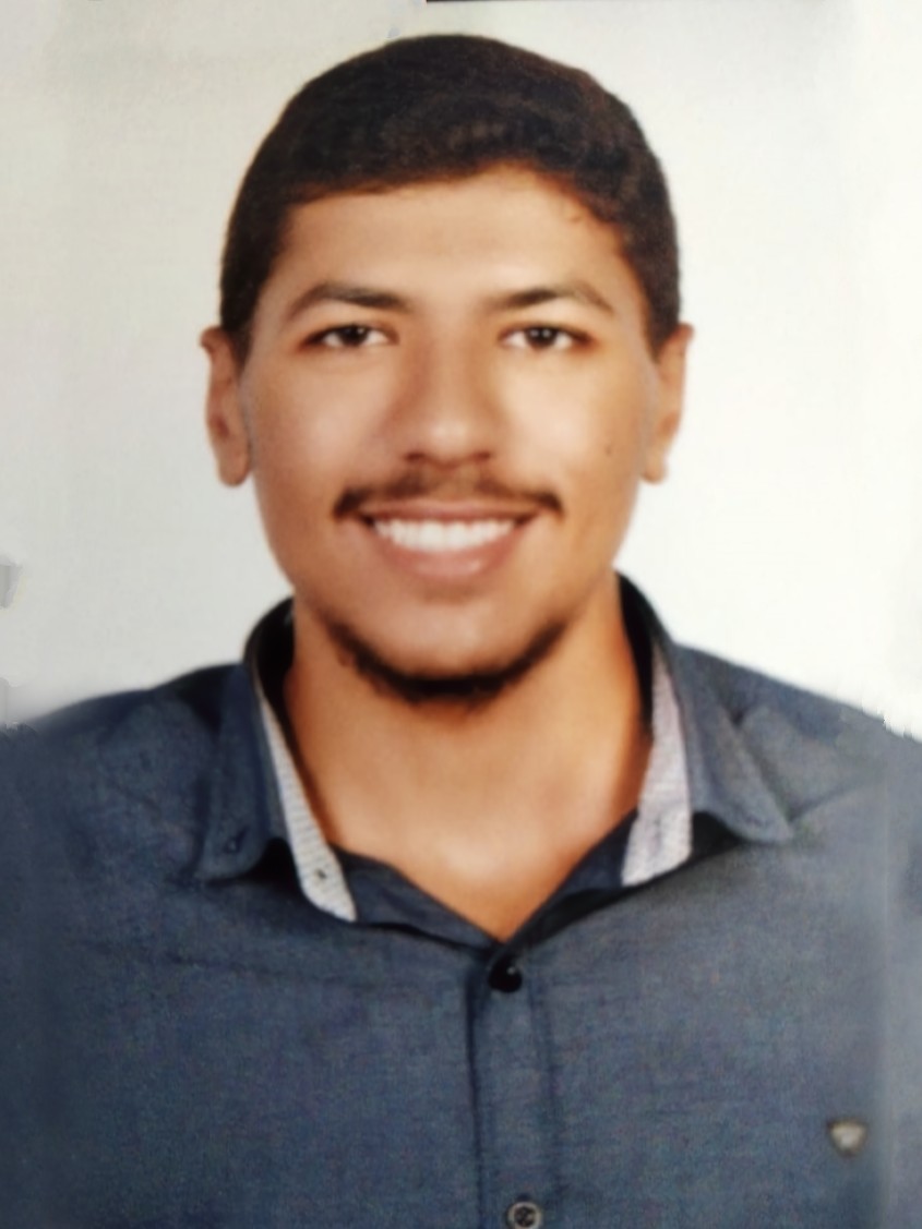Ali Ahmed Ali